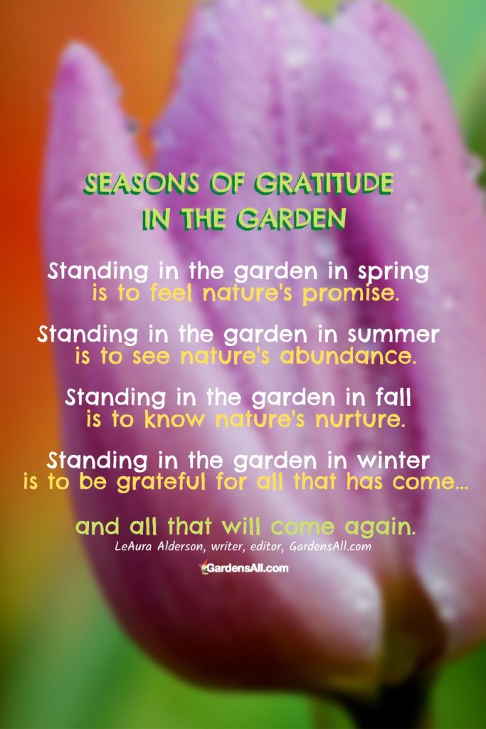 Seasons of Gratitude in the Garden Poem