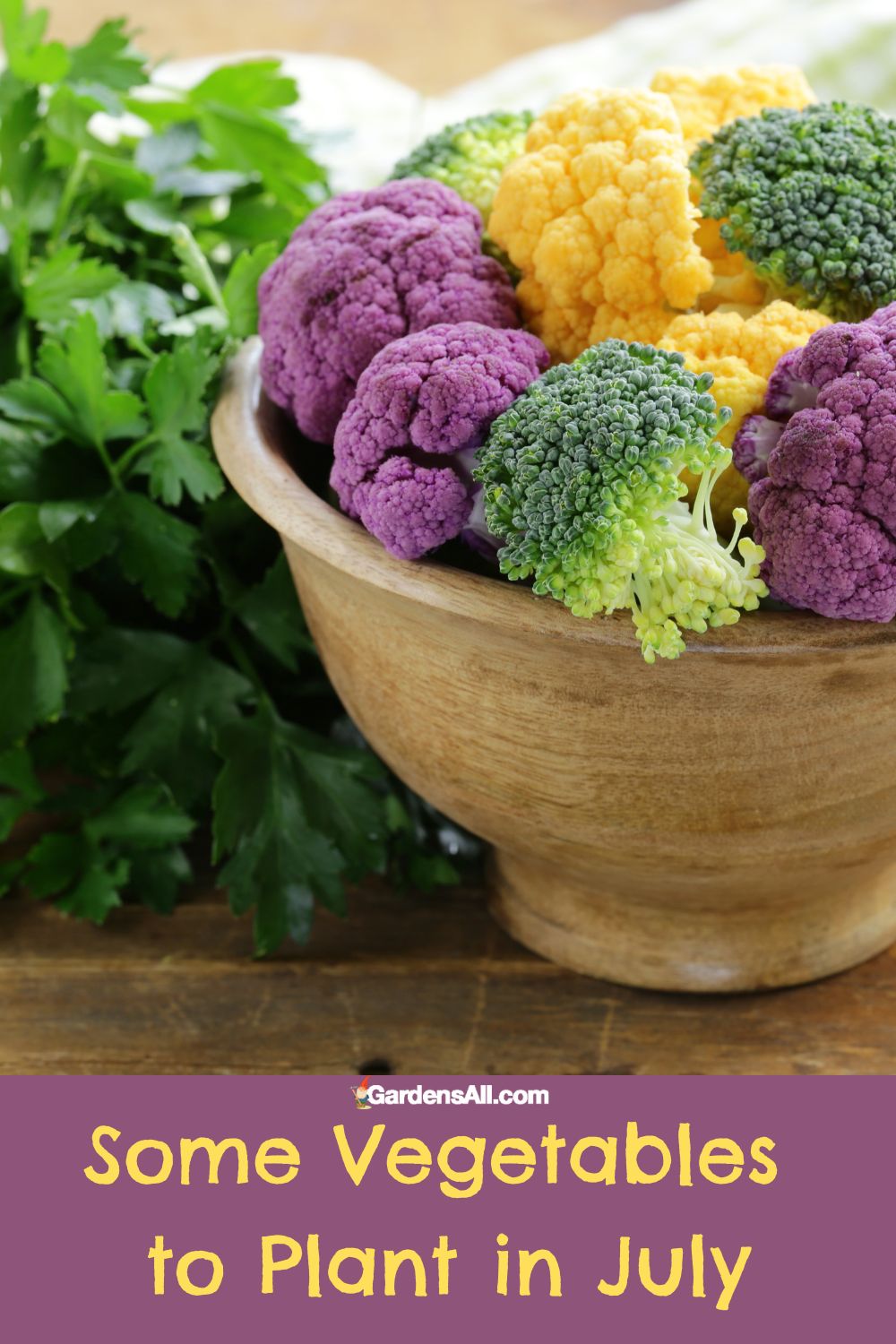 Wondering What to Plant in July? Here are Some Ideas GardensAll