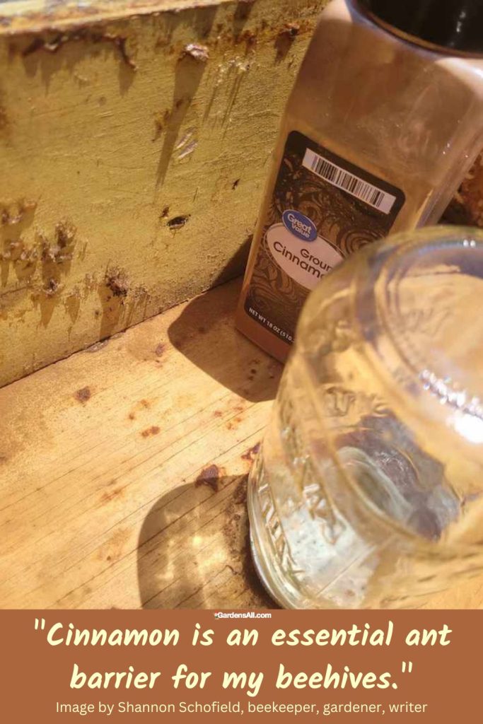 How to Use Cinnamon for Ants and More GardensAll