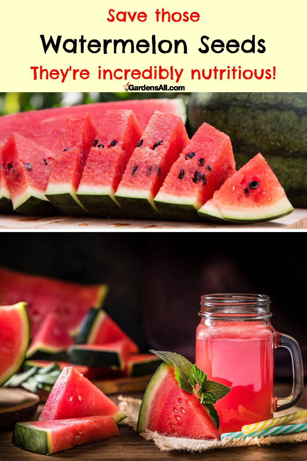 Watermelon Seeds Nutrition Facts Energy Packed Info to Chew On