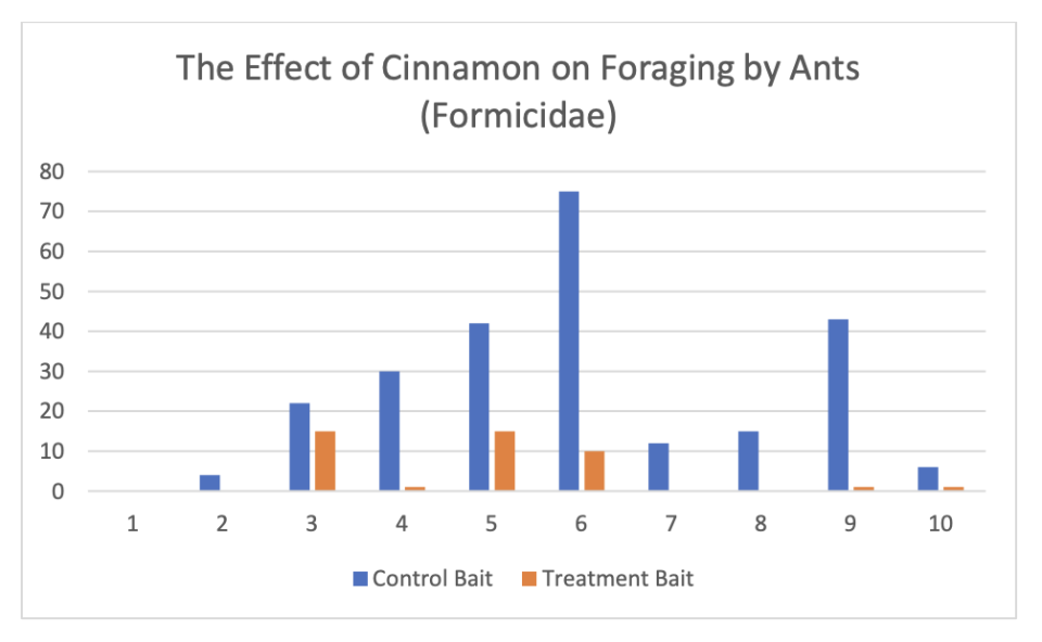 How to Use Cinnamon for Ants and More GardensAll