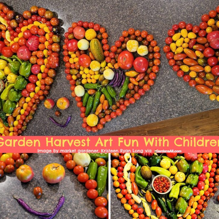 Garden Harvest Artistry – Beautiful Bounties to Behold