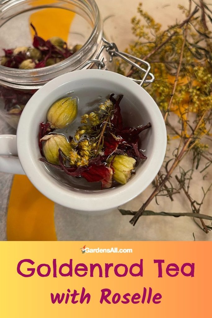 Goldenrod Tea with Roselle. See Roselle Benefits and also Roselle Tea
