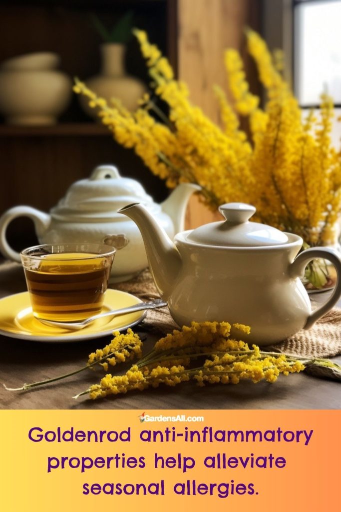 Goldenrod Tea Benefits and How to Make Goldenrod Tea GardensAll