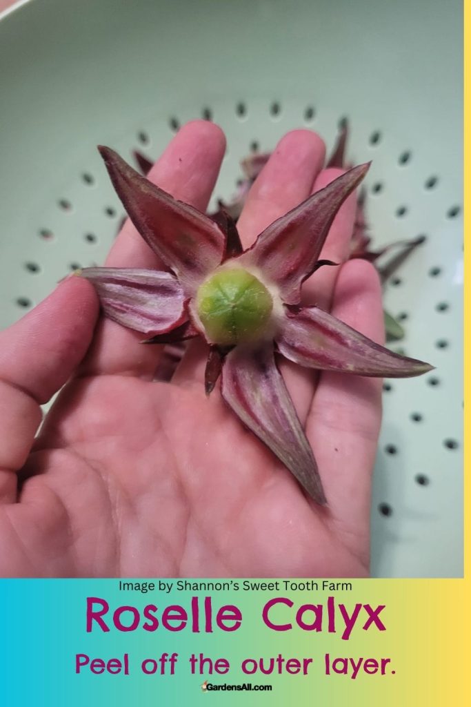 Roselle Calyx - Peel off the outer layer.