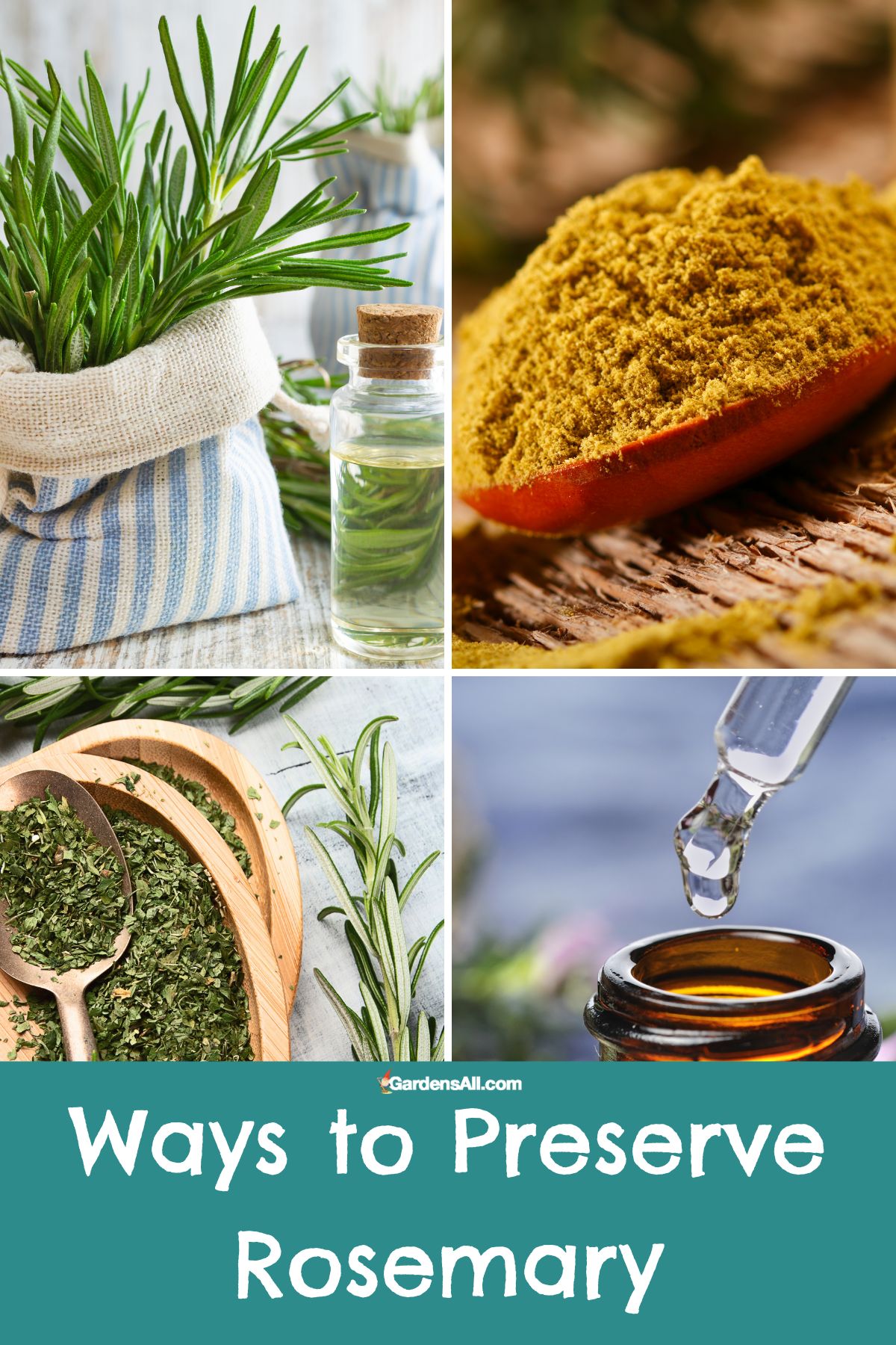 Ways to Preserve Rosemary Herb for Multiple Uses GardensAll