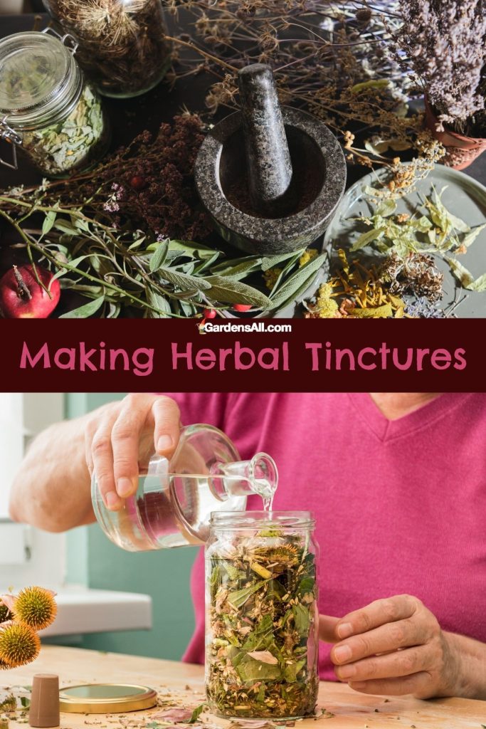 Making herbal tincture - pouring alcohol over herbs