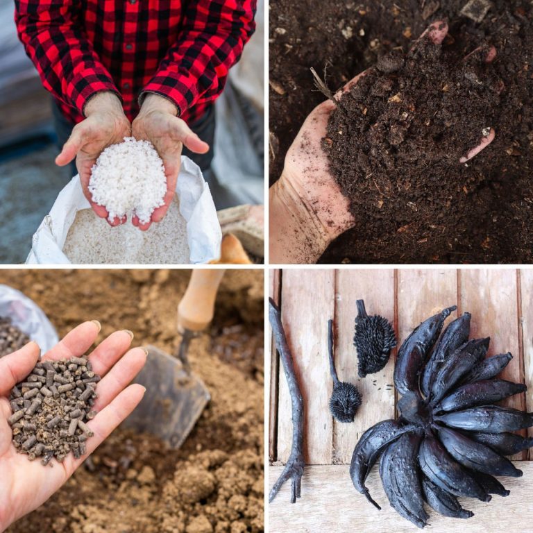 Vegetable Garden Soil Amendments & Why You Need Them GardensAll